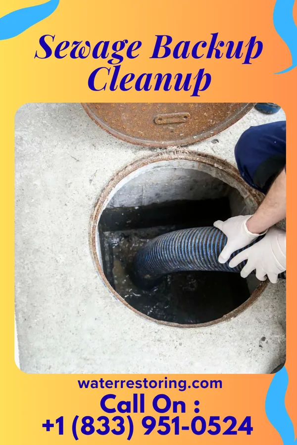 Sewage Backup Cleanup in Heyworth, IL